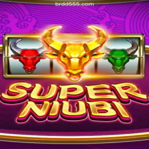 An In-Depth Exploration of SuperNiubi and Its Exciting Features