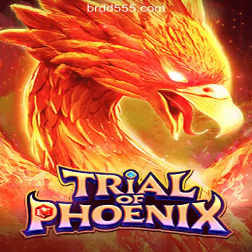 Exploring 'Trial of Phoenix' and the Rapid Withdrawal Features of DD555.COM Casino